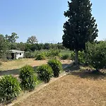 θαλεια Nyaraló *