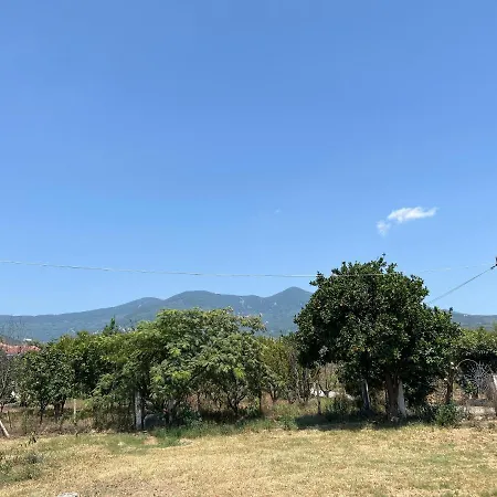 θαλεια Kato Lekhonia